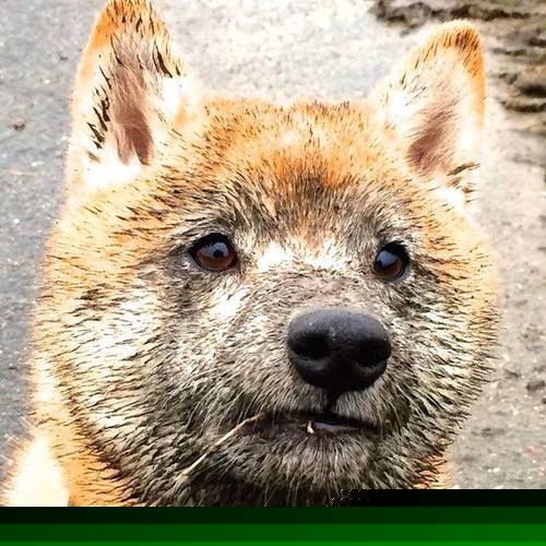 2016年总决赛第七场:勇士在最后几秒通过“水花兄弟”库里和汤普森的三分完成逆转,以赛季最精彩的逆转之一结束,勇夺总冠军。