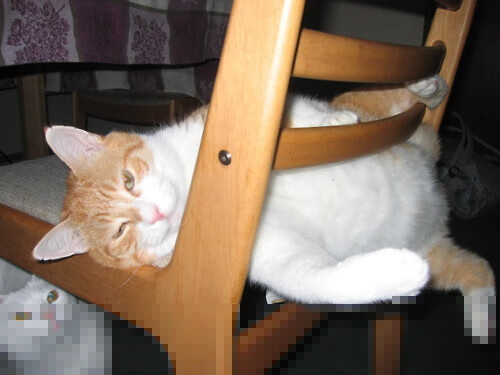 _全民健身节:让每个人都能感受网球魅力_,全民健身网络大赛