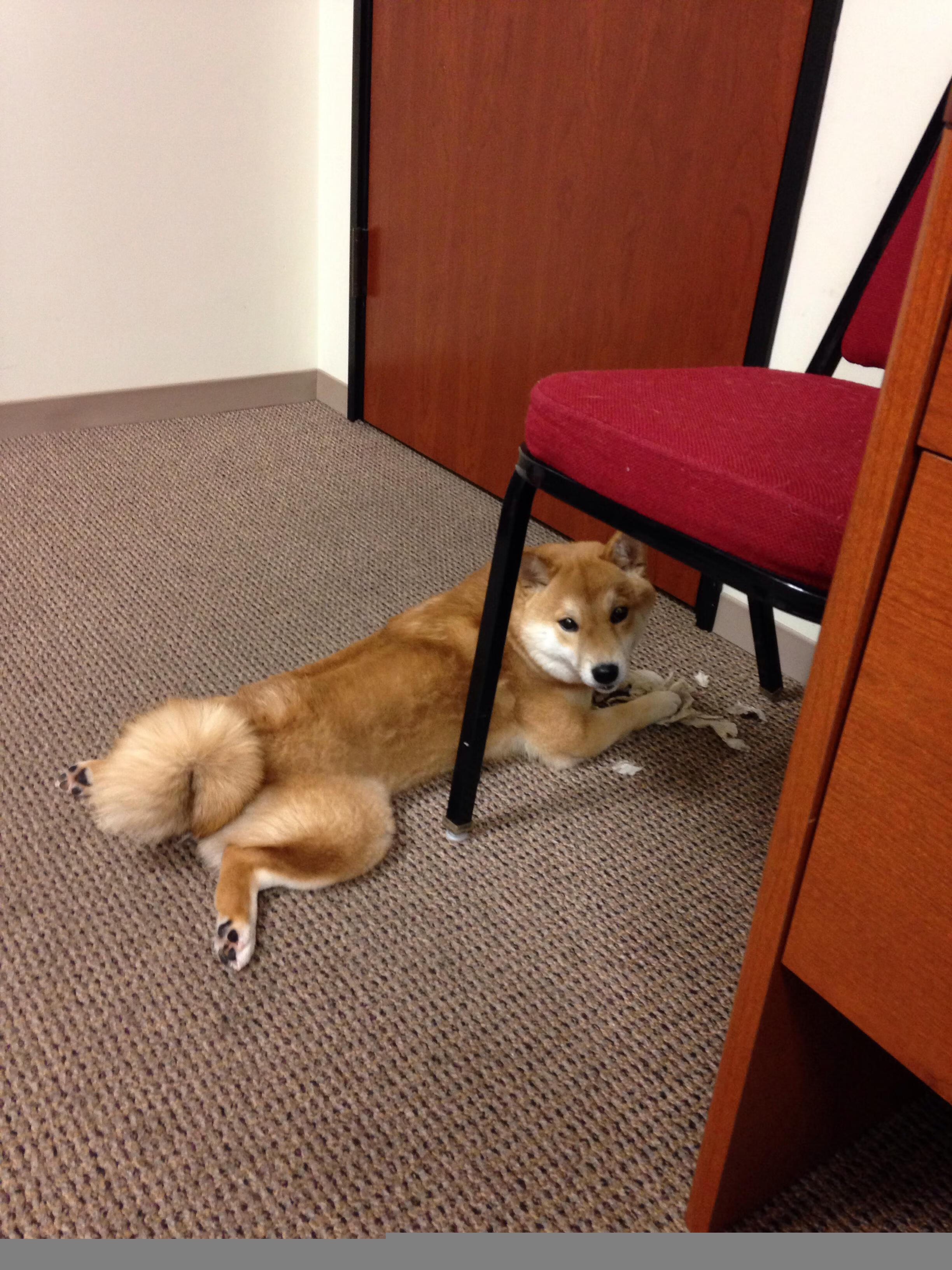 “广州恒大续约核心球员，初心不变”，广州恒大新赛季球员名单