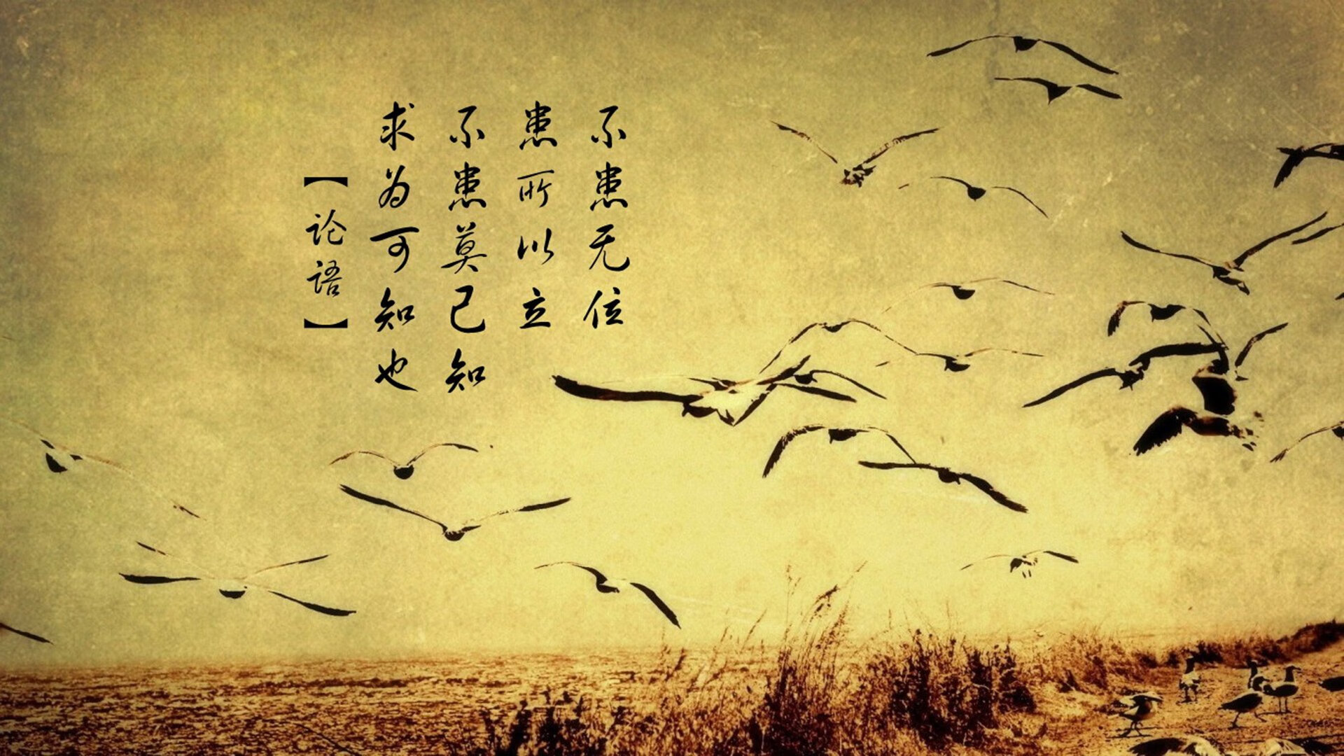 九游会-“绿色环保+智能场馆：未来运动场景向可持续发展迈进”，智能化场馆建设